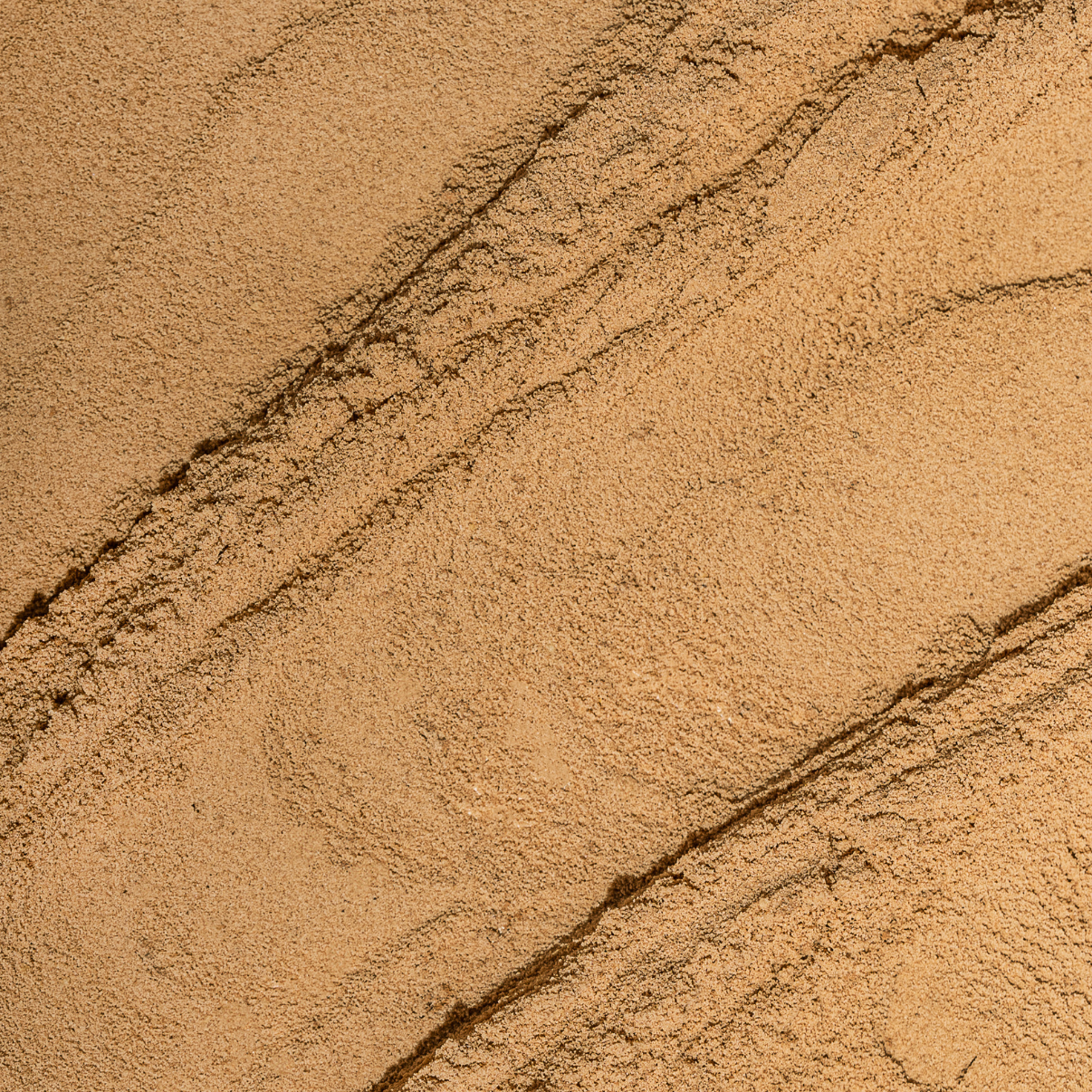 Organic Whey Protein - Chocolate